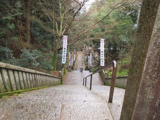 IMG_3491.jpg