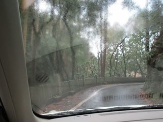 IMG_3501.jpg