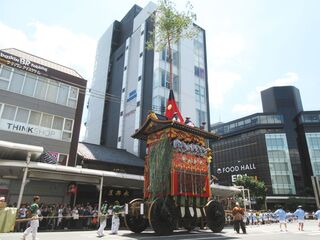 IMG_3584.jpg