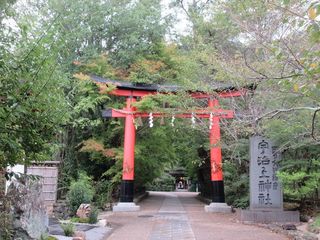 IMG_3590.jpg