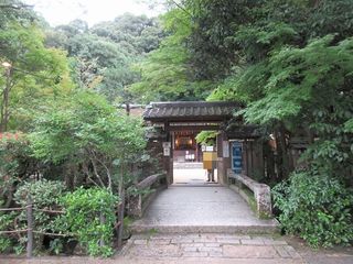 IMG_3594.jpg