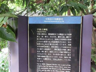 IMG_3595.jpg
