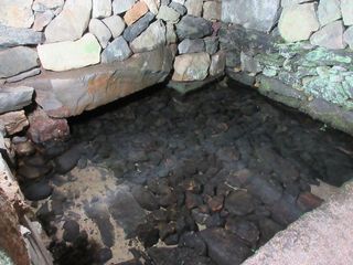 IMG_3605.jpg