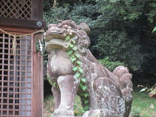 IMG_3615.jpg