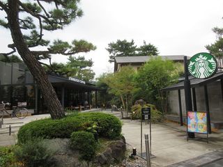 IMG_3624.jpg