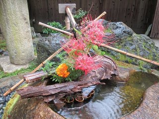 IMG_3694.jpg