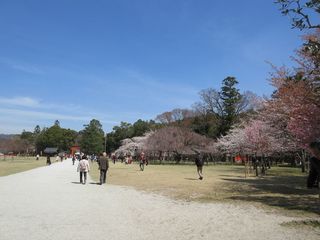 IMG_3847.jpg
