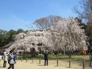 IMG_3850.jpg