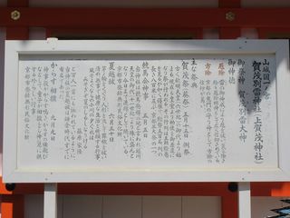 IMG_3877.jpg