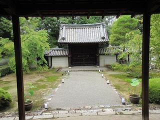 IMG_3904.jpg