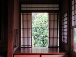 IMG_3922.jpg