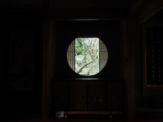 IMG_3923.jpg