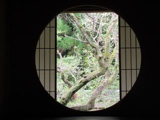 IMG_3924.jpg