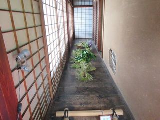 IMG_3927.jpg