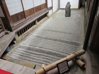 IMG_3928.jpg