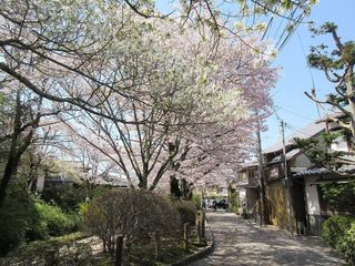 IMG_3994.jpg