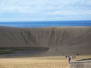 IMG_4088-2023.jpg