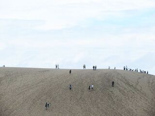 IMG_4102-2023.jpg