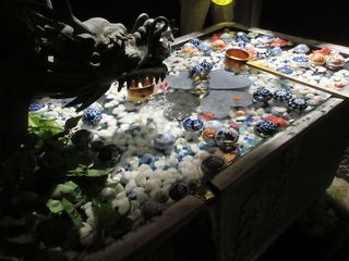 IMG_4162.jpg
