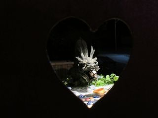 IMG_4218.jpg