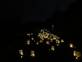 IMG_4233.jpg