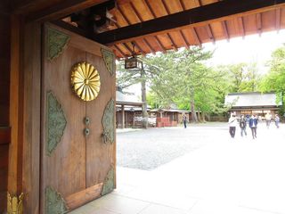 IMG_4250.jpg
