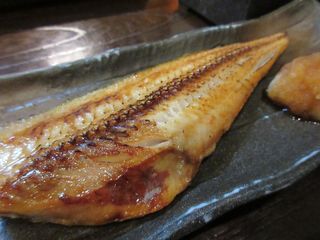 IMG_4253.jpg
