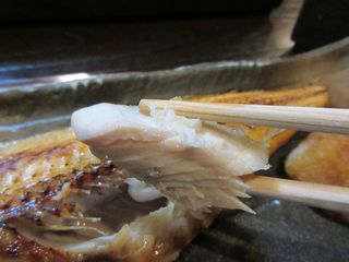 IMG_4257.jpg