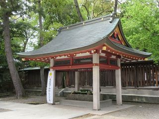 IMG_4262.jpg