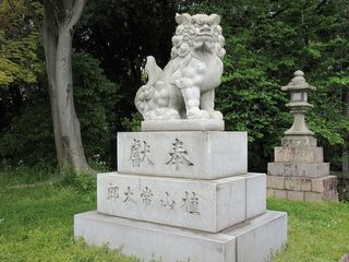 IMG_4281.jpg