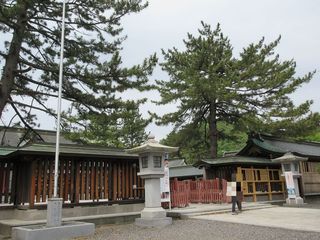 IMG_4285.jpg