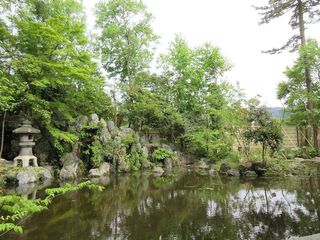 IMG_4297.jpg