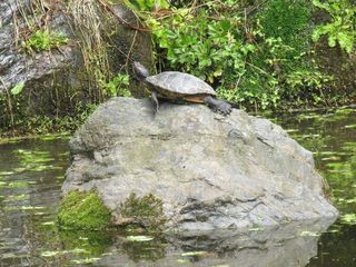 IMG_4300.jpg