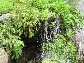IMG_4304.jpg