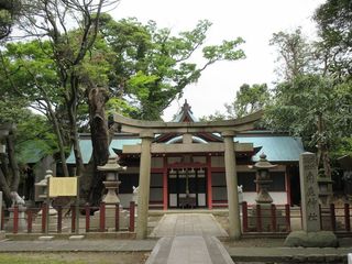 IMG_4311.jpg
