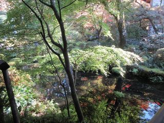 IMG_4563.jpg