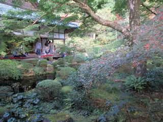 IMG_4567.jpg
