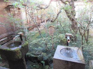 IMG_4578.jpg