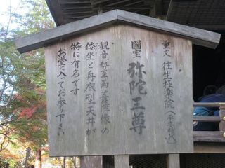 IMG_4601.jpg