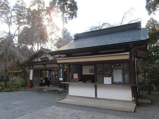 IMG_4619.jpg