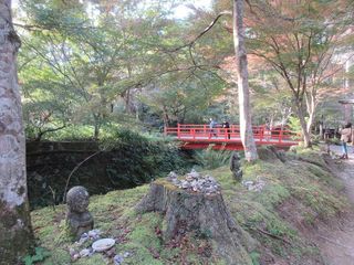 IMG_4639.jpg