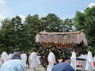 IMG_4656.jpg