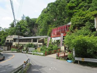 IMG_4771.jpg