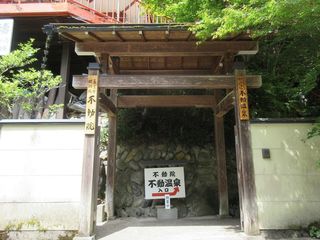 IMG_4772.jpg