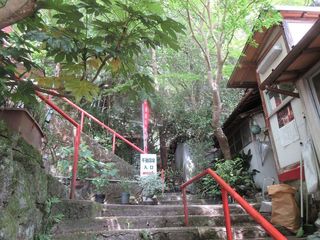 IMG_4774.jpg