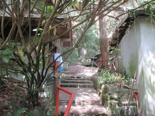 IMG_4776.jpg