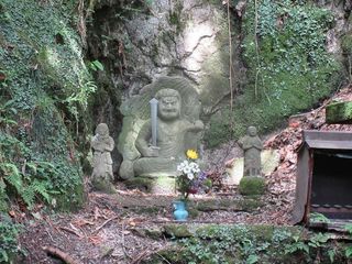 IMG_4781.jpg