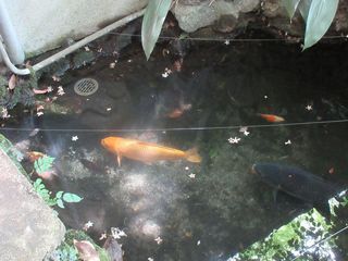 IMG_4782.jpg