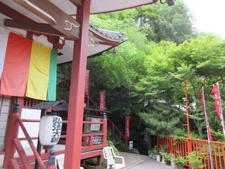 IMG_4810.jpg