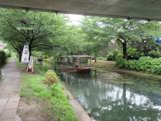 IMG_4938.jpg